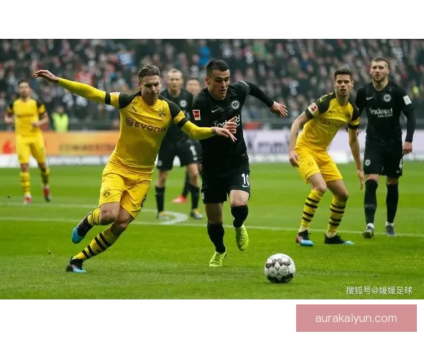 弗赖堡新赛季展望，挑战与机遇并存，球队信心满满迎接新征程