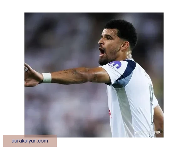 理查利森在国家队锋线的表现持续提升，值得关注。